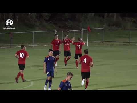 NPL Rd 5: Redlands United vs Brisbane Roar Youth Highlights