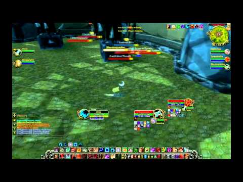 [Gladiator Miirkat] - I Wuv U