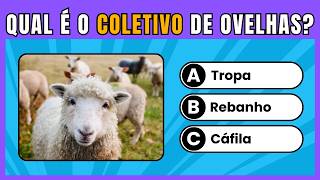 Quiz de Conhecimento Gerais | Quantos Acertos Você Consegue Sem Colar?#quiz