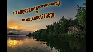Рыбалка зимой на пронском водохранилище