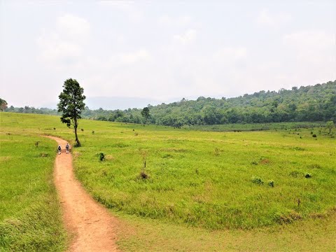 Khao Yai National Park Tour from Bangkok (English/Urdu/Hindi)