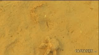 Mortar in Kalamalka Lake