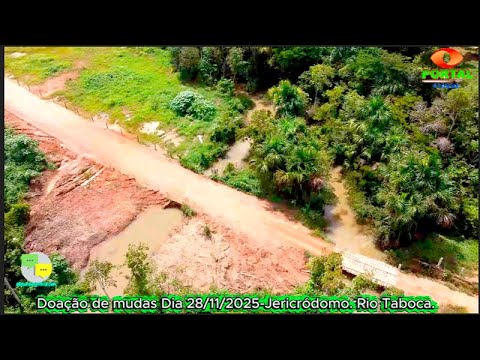 🌳 SEMA: Cuidando de Alto Paraíso, Rondônia!