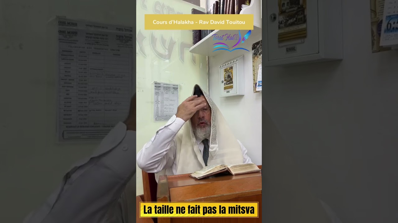🍋 Ce n’est pas la taille du Etrog qui compte…