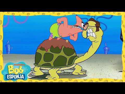 ¡¿La casa de Patricio es un caparazón de tortuga?! | Bob Esponja en Español