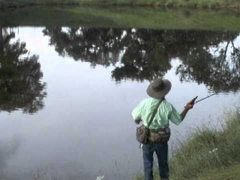 not always a ringer/I came to catch fish