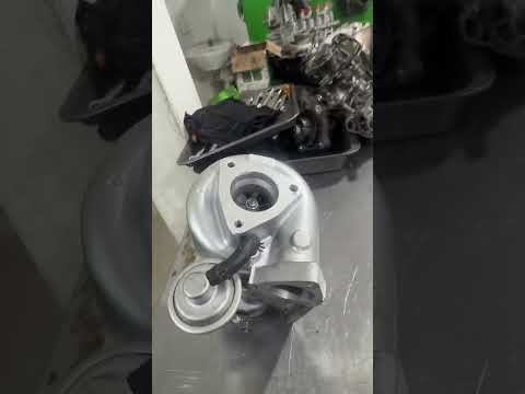Servidiesel Short 6