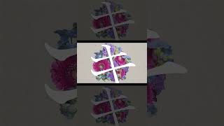 - scene / flower #shorts
