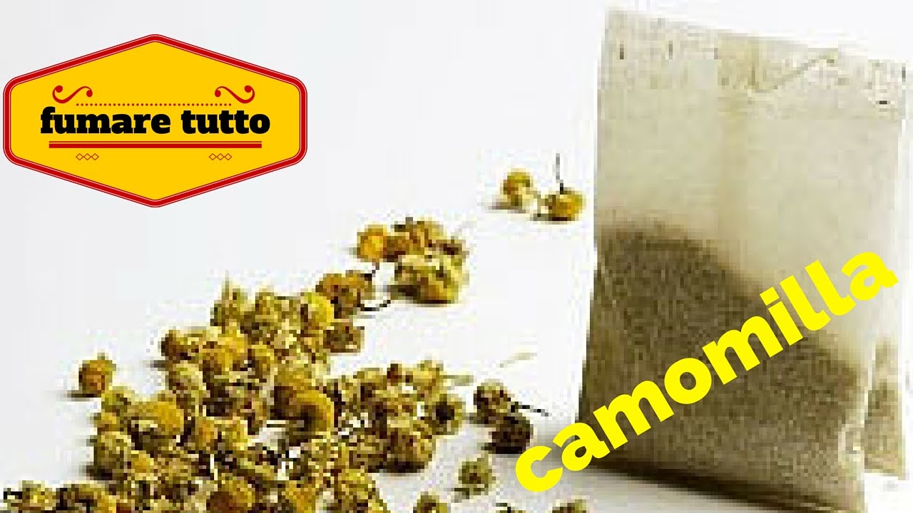 FUMARE TUTTO CAMOMILLA w/ master surf3r