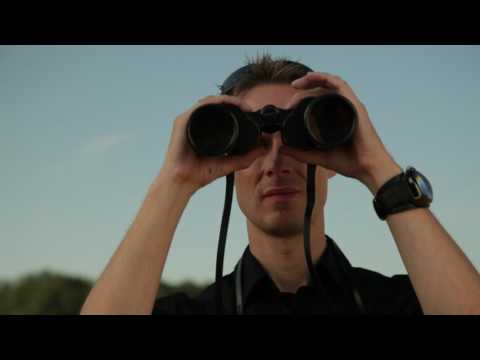 eins - Von eins bis unendlich