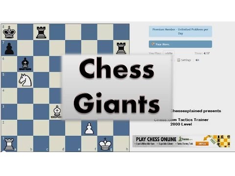 Schachgiganten #008 – Timman gegen Geller, Amsterdam 1973, Damengambit, Tartakover