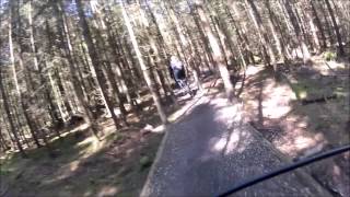 Nordskoven, combination of Red and Blue track - Summer 2015