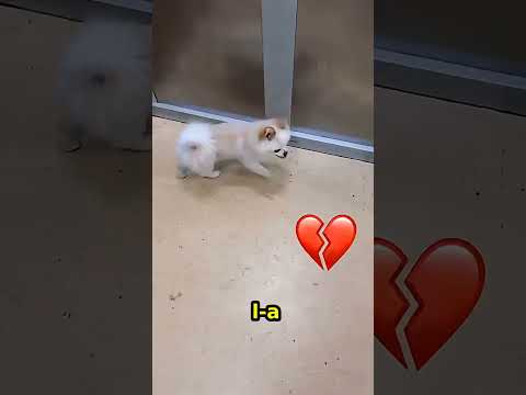 Tu ce făceai in locul femeii ?
