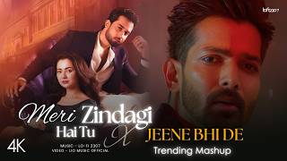 Meri Zindagi Hai Tu  X Jeene Bhi De - Mashup (Full Version) Yaseer Desai X Arijit Singh | Lo-fi 2307