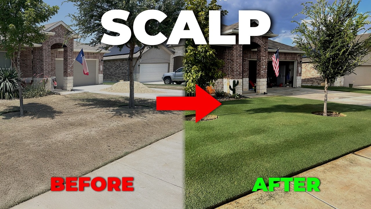How (and Why) To Scalp Your Bermuda Grass Lawn