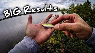 I *HIGHLY* Recommend a Lipless Crankbait in the Fall! (BIG SURPRISE)