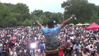 Jungle Brothers & NINE @ Crotona Park, Bronx, NY
