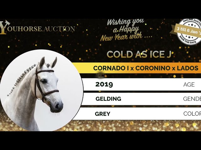 Cold as Ice homevideo