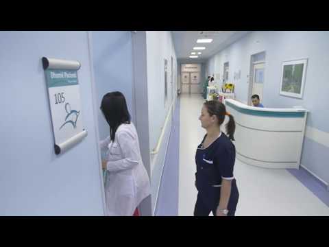 Spitali Amerikan - Urgjenca