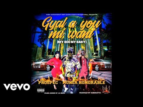 Prospec, Munga Honorable - Gal A You Mi Want (Official Audio)