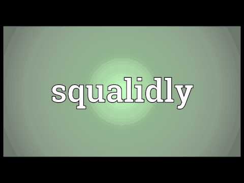 Squalidly Meaning