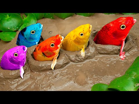 Funny Carp Emerging From The Ground And Mouse Smashing Game - Primitive Cook Stop Motion Asmr - Coco