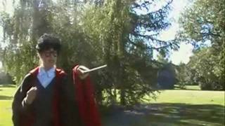 Lily - Ministry of Magic (Music Video) (Shortened Version)