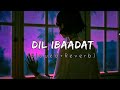 Dil Ibaadat Slowed Reverb Pritam KK Tum Mile Maya Vibes Textaudio