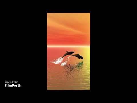 SOFT RELAXING PIANO- Raoul Di Blasio.