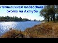 Нетипичная подводная охота на Ахтубе 