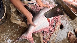 Amazing BIG Pangas Fish cutting in Bangladeshi Fish Market
