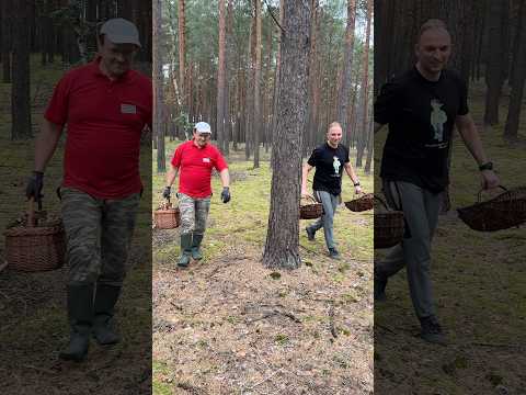 🤯🍄 51 KG PODGRZYBKÓW! ISTNA PLAGA! 😱 Brak słów… | 04.09.2026 🗓️