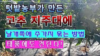 [텃밭농부 1,539]  텃밭농부가 만든 고추 지주대. 날개 쪽에 주 가지를 묶어 주는 방법. #고추지주대 …