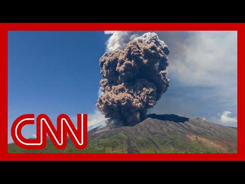 Video shows tourists running for safety as Etna erupts