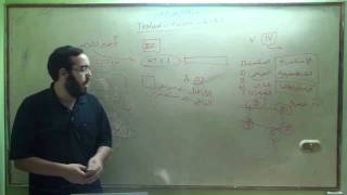 النقد الكتابي واللغة اليونانية (11) عمل الناقد النصي وكيفية الوصول للشكل الأقدم والأصح image