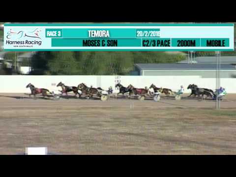 TEMORA - 20/02/2016 - Race 3 - MOSES & SON PACE