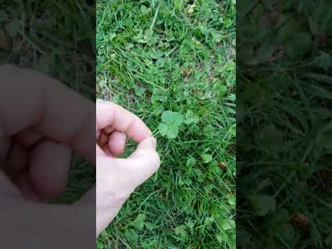 October 13, 2022.  Good Luck!  #inspiration #goodluck #lucky