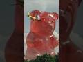 The Biggest Gummy Bear in the World!