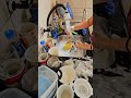 Lavando Louça Shortrs