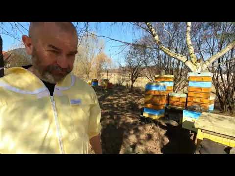 Pasieka dla "leniucha" cz. 1 -  przegląd wiosenny