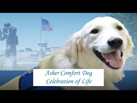 Asher Celebration of Life | Saturday, April 20, 2024, 10:00am | Faith Lutheran Church