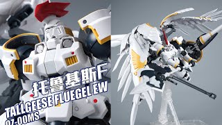 [閒聊] 托爾吉斯有翅膀的設定你給過嗎？