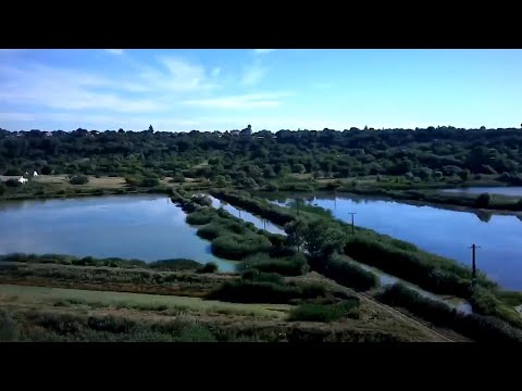 Pescuit cu uica Gore. Pescuit la Delta de la Gârla Mare.
