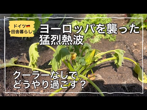 ドイツの暑さ:今日はここが最も暑くなるでしょう - しかし、ある都市が特に大きな被害を受けています