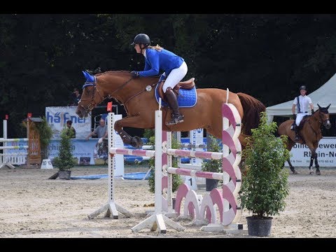 Stilspringprüfung Kl. L, 21.7.2017, Schwetzingen (Platzierung)