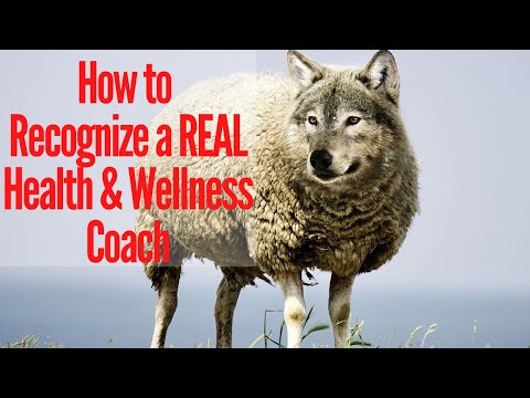 Catalyst Coaching 360 video/presentation/materials