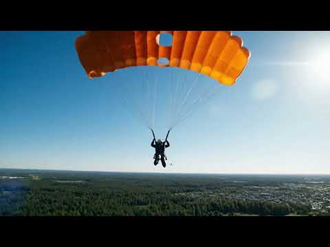 Jet Cat Saves the City and Bails Out