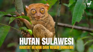 Download lagu Hutan Sulawesi: Habitat Satwa dari Negeri “Dongeng”, Daerah Paling Unik di Indonesia mp3