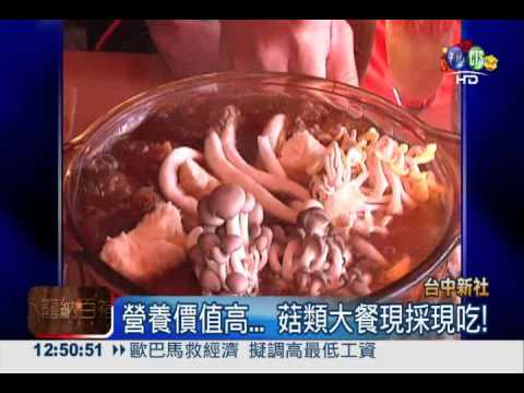 新社不只有花海! 採菇好吃又好玩