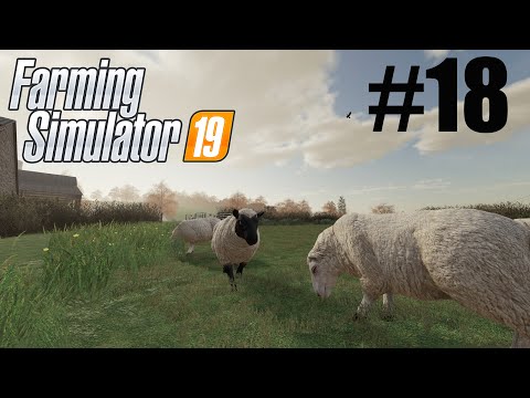 DEAD SHEEP PRODUCE NO WOOL | Chellington Valley | FS19 | #18
